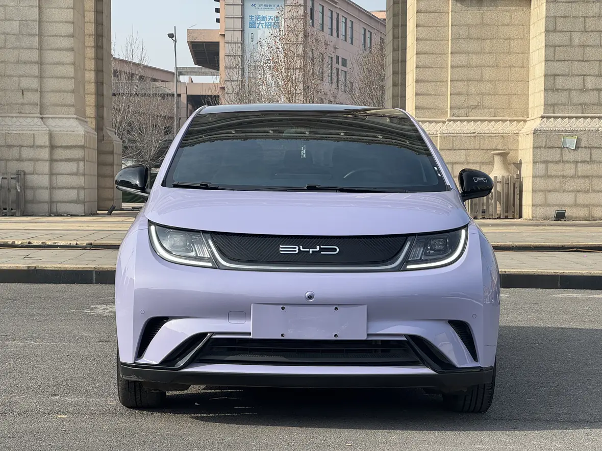 BYD Dolphin  из Китая