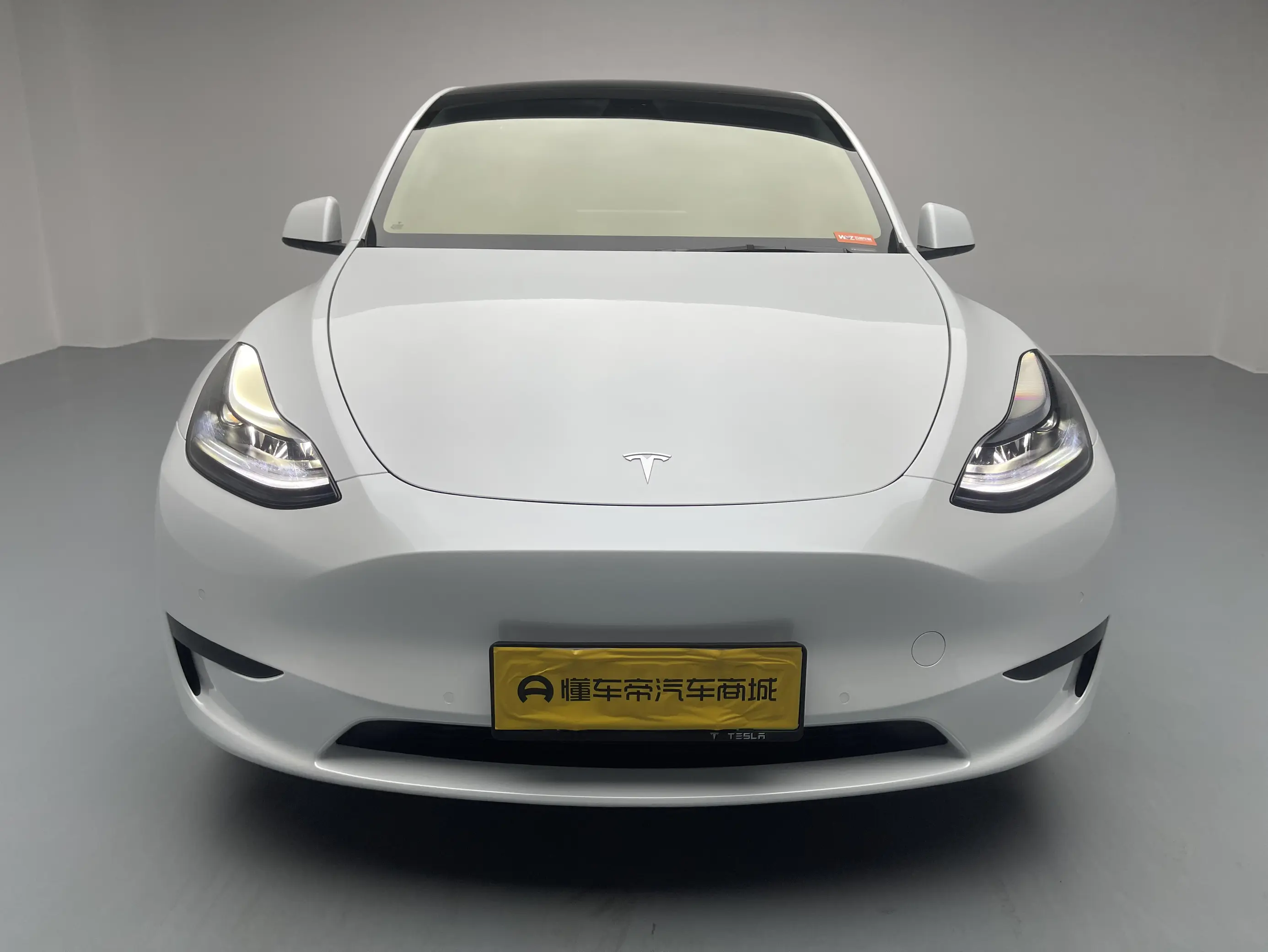 Tesla Model Y  из Китая