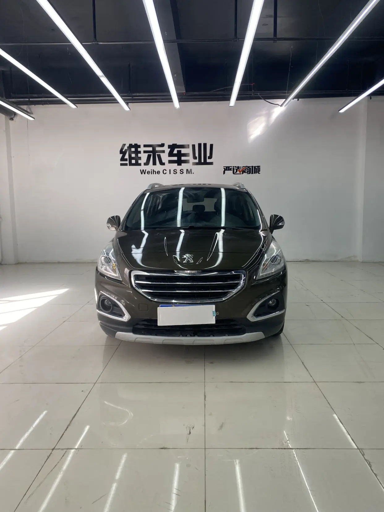 Peugeot 3008  из Китая