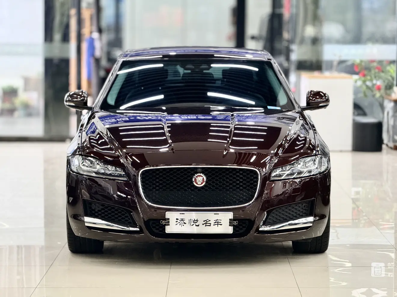 Jaguar XFL  из Китая