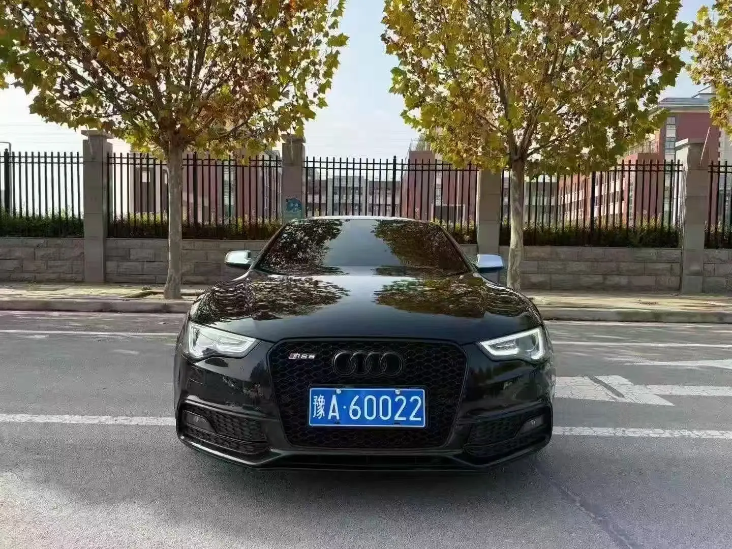 Audi S5  из Китая