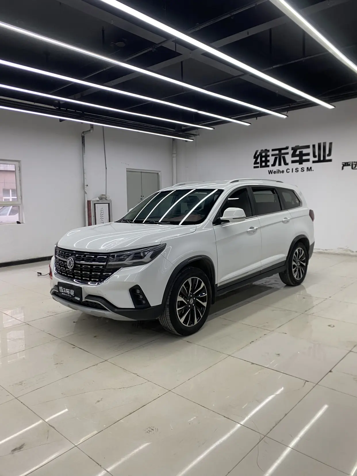 Forthing Fengxing T5L  из Китая