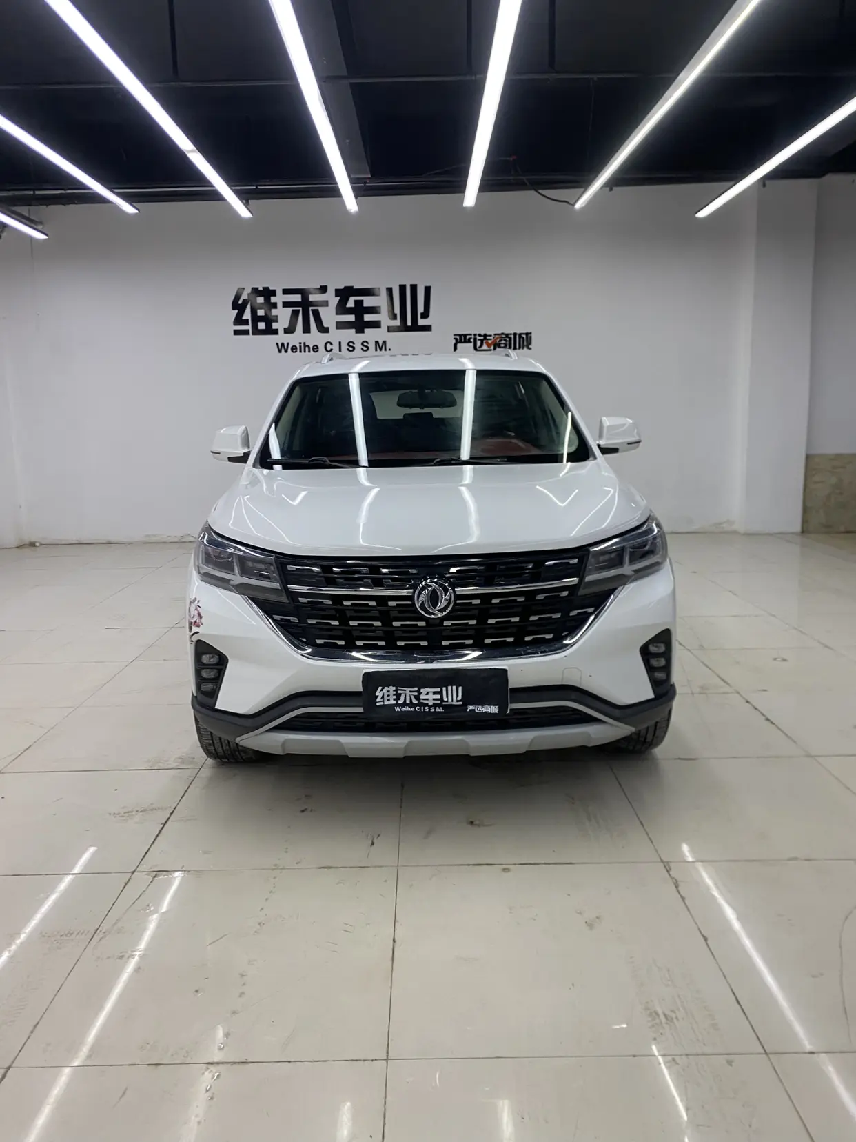 Forthing Fengxing T5L  из Китая