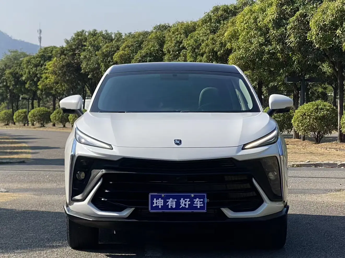 Forthing Fengxing T5 EVO  из Китая