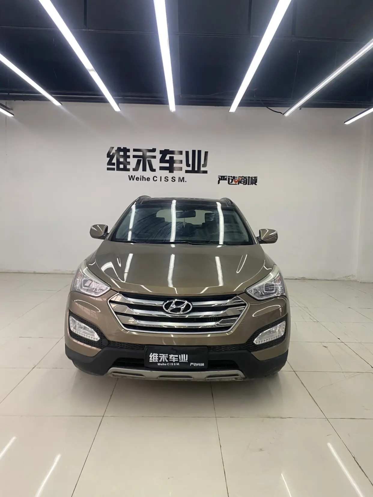 Hyundai Shengda  из Китая
