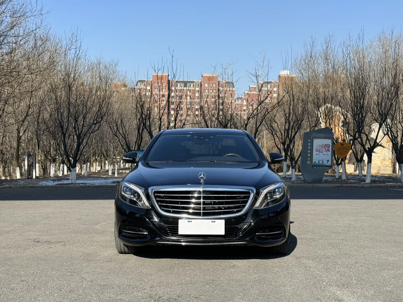 Mercedes-Benz Mercedes Benz S Class  из Китая