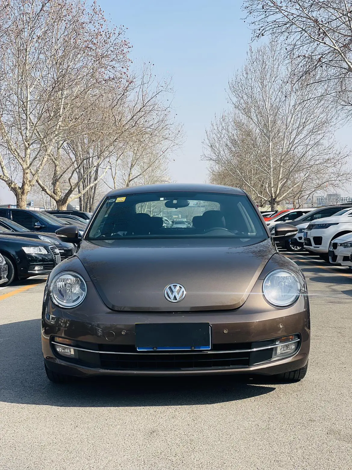 Volkswagen Beetle  из Китая