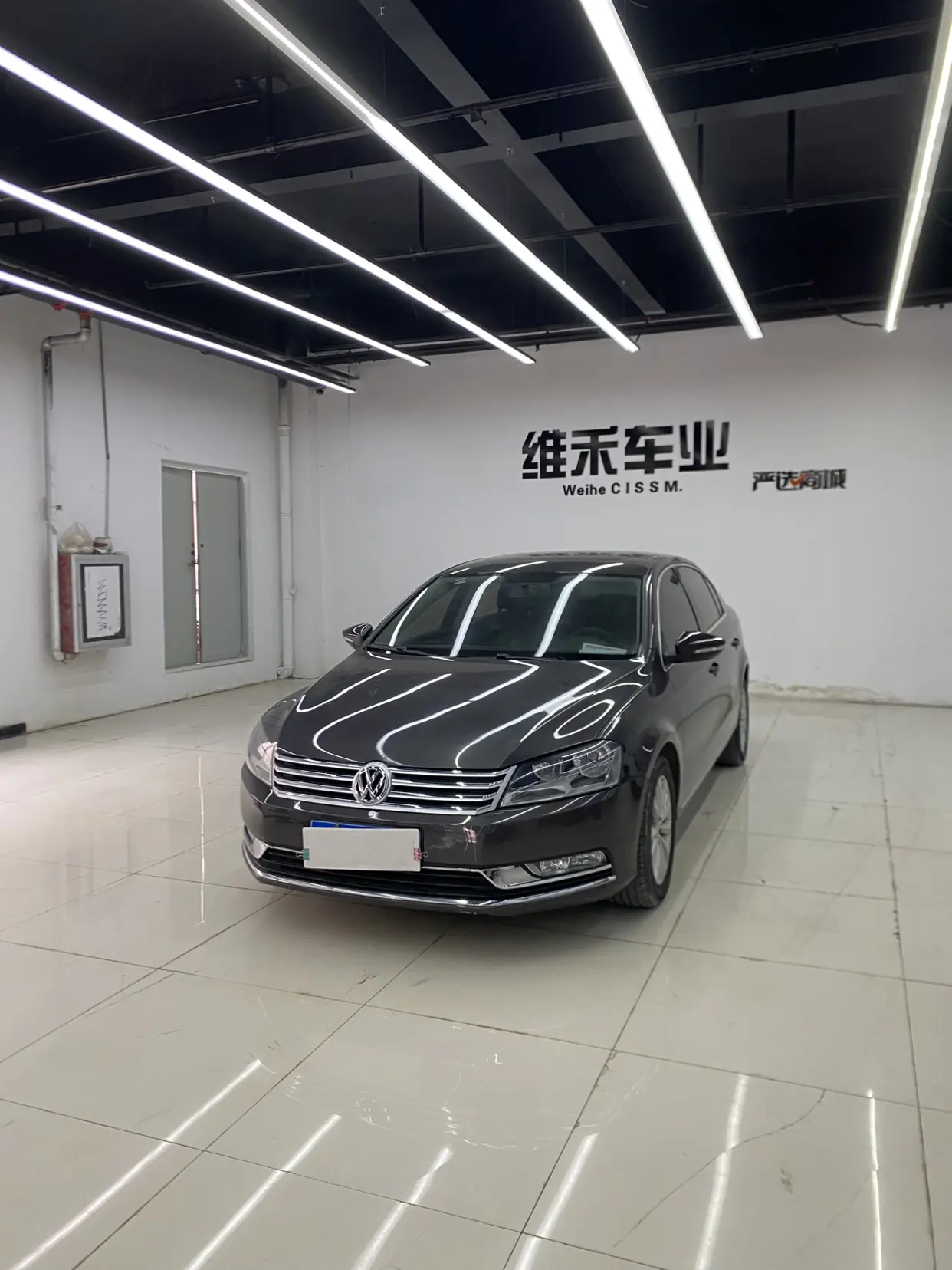 Volkswagen Magotan  из Китая