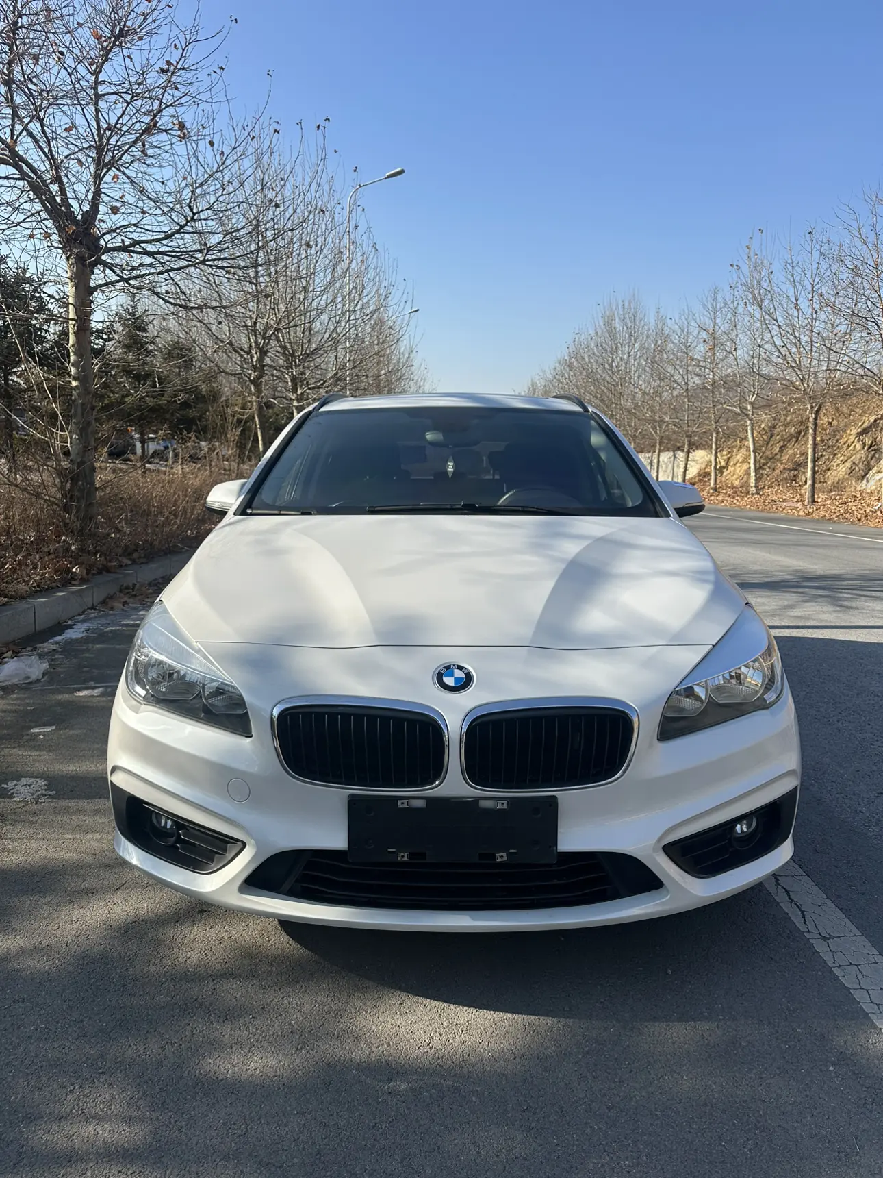 BMW 2 Series Active Tourer  из Китая