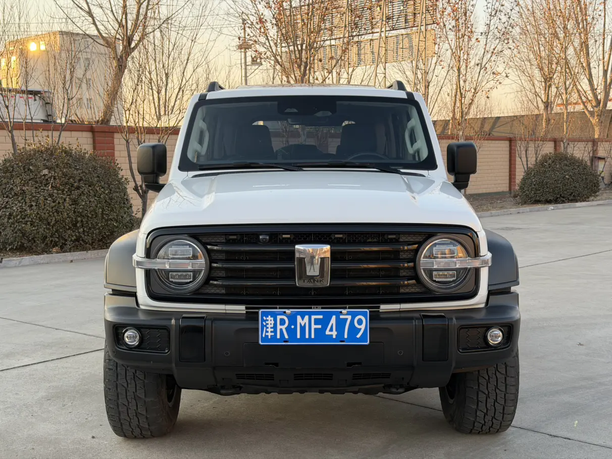 Tank 300  из Китая