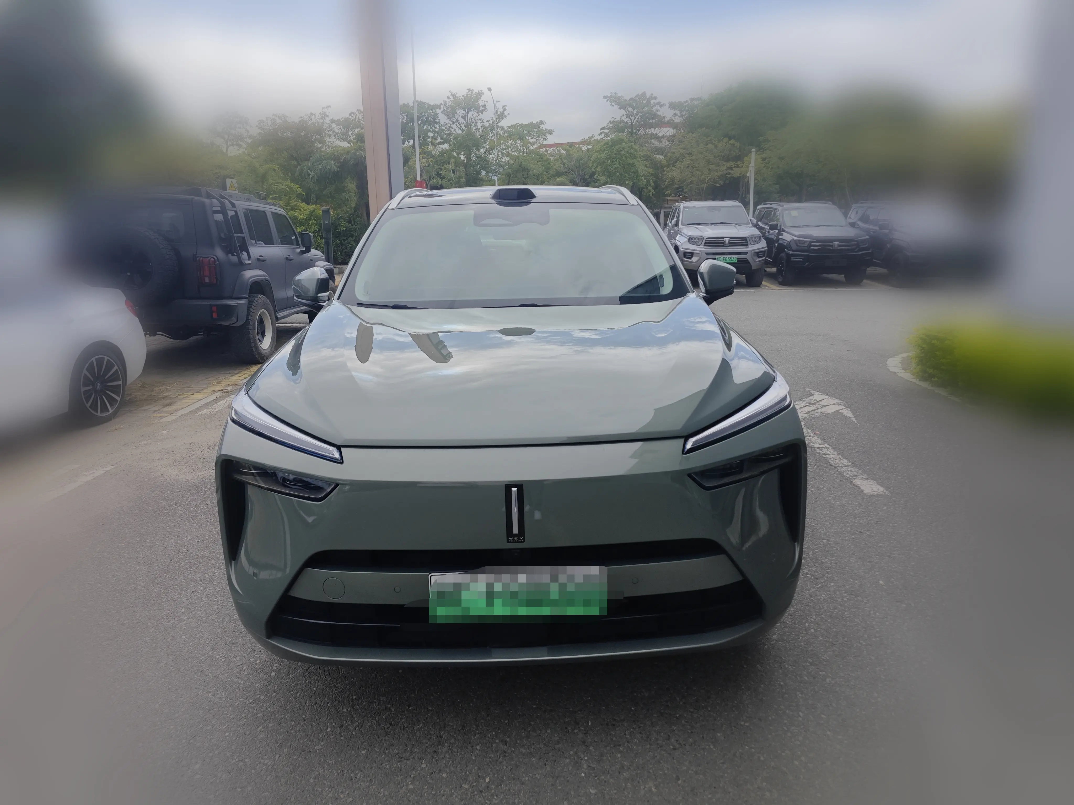 Wey Blue Mountain  из Китая