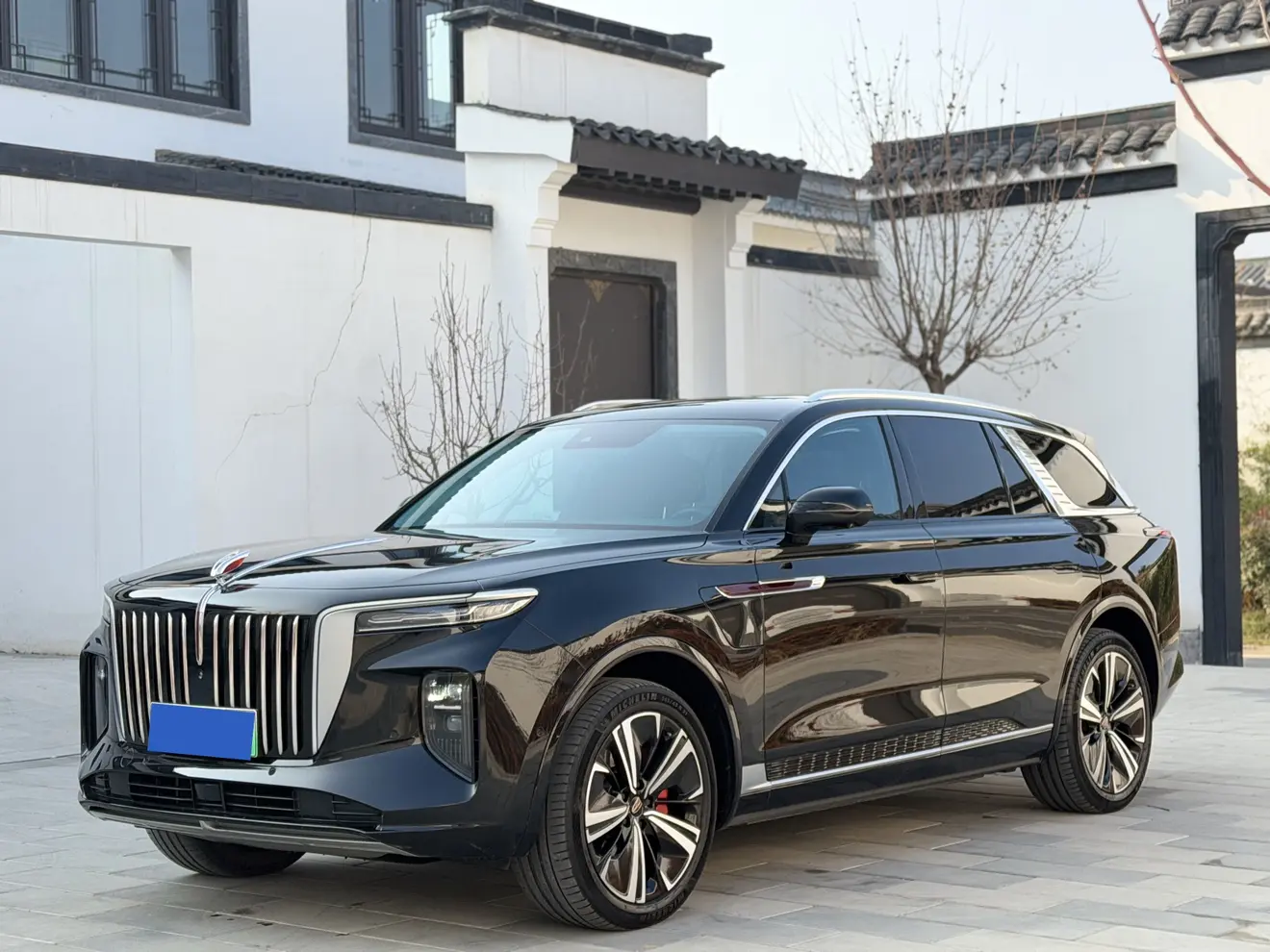 Hongqi E-HS9  из Китая