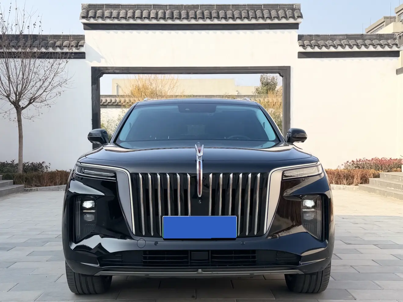 Hongqi E-HS9  из Китая