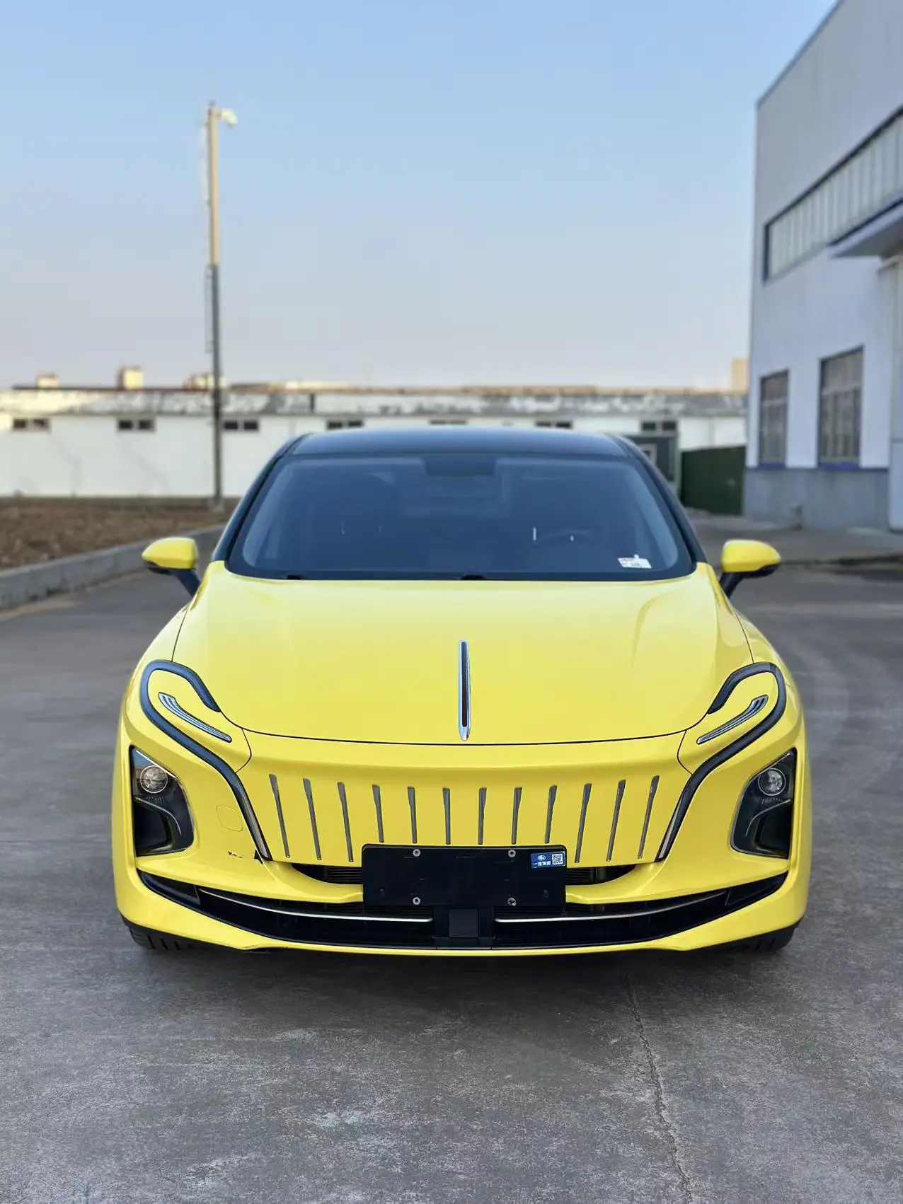 Hongqi E-QM5  из Китая