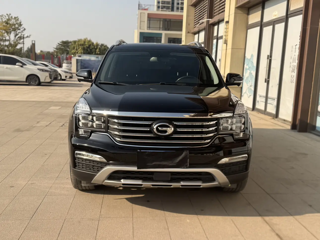 GAC Trumpchi GS8  из Китая