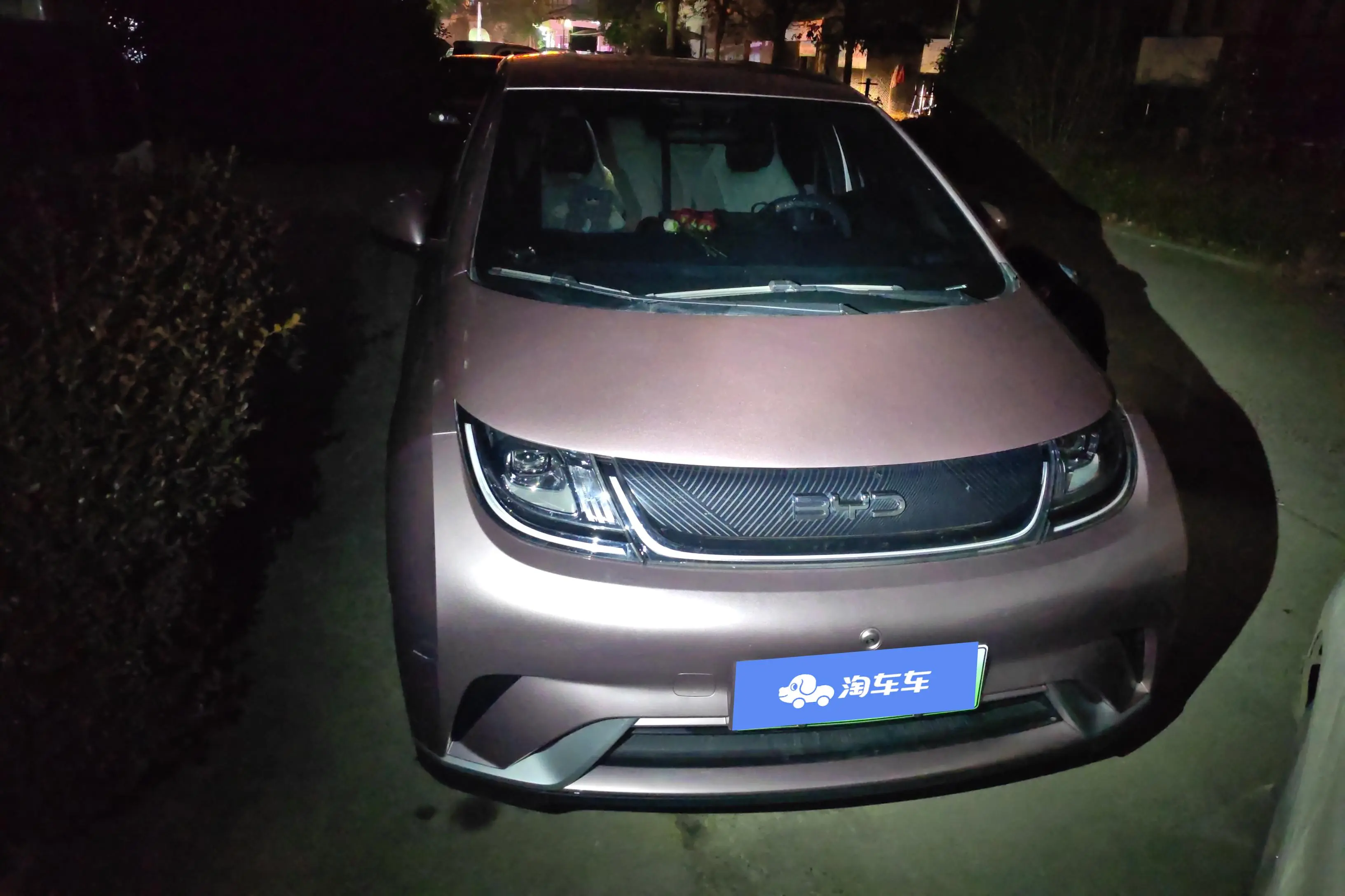 BYD Dolphin  из Китая