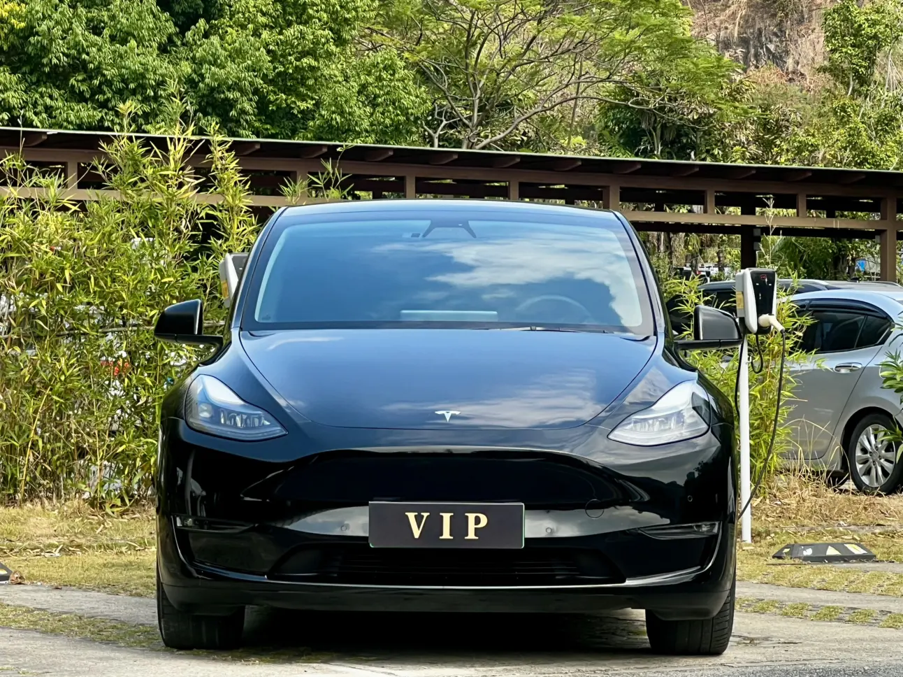 Tesla Model Y  из Китая