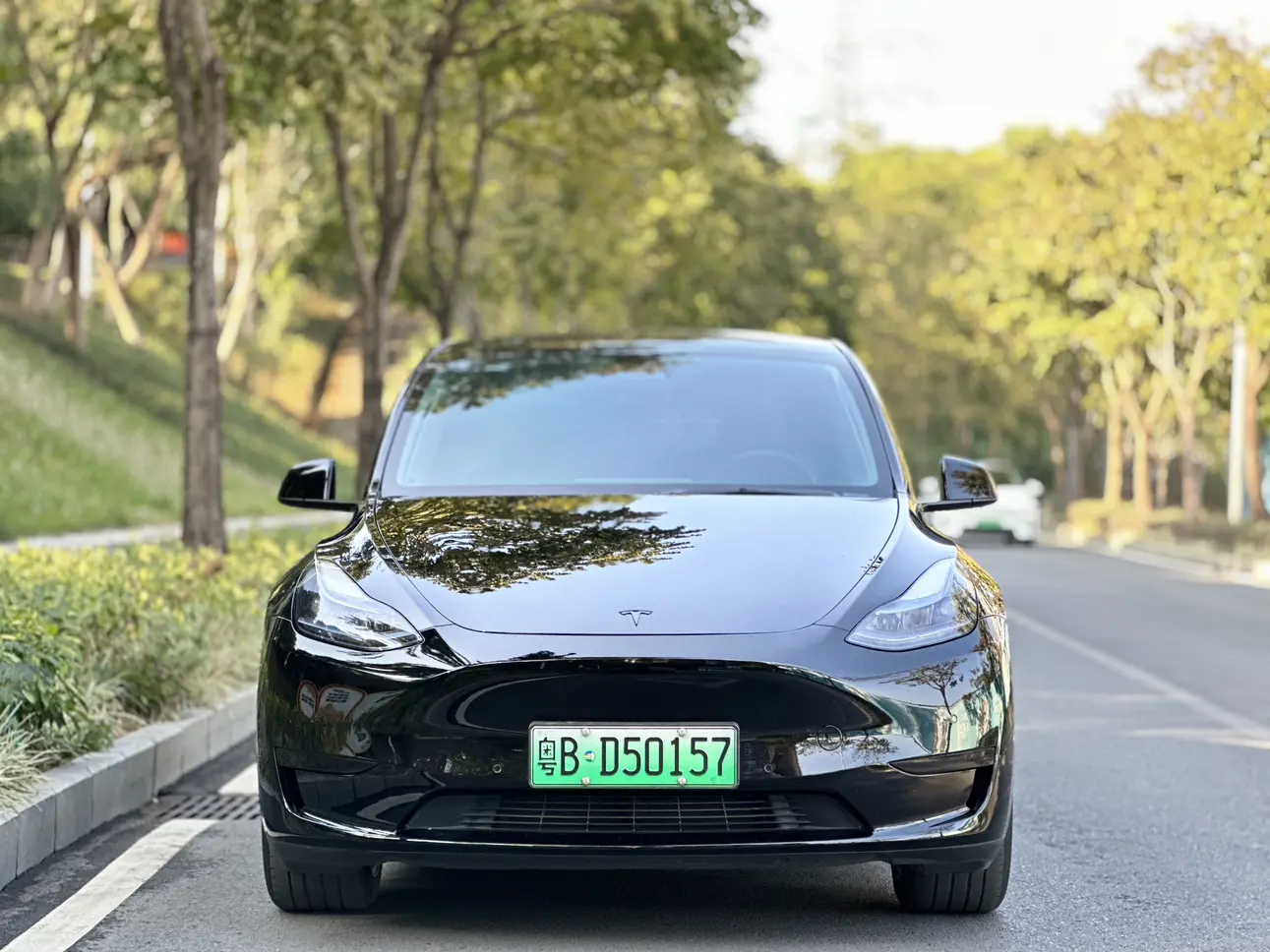 Tesla Model Y  из Китая