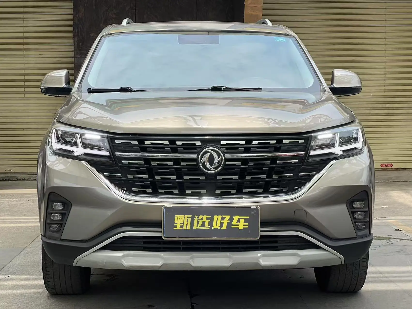 Forthing Fengxing T5  из Китая