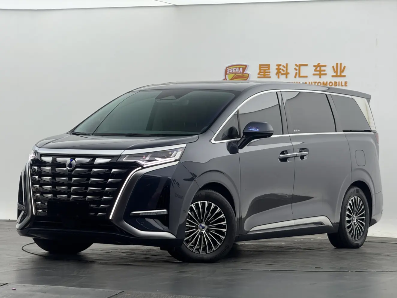 Denza D9 DM  из Китая