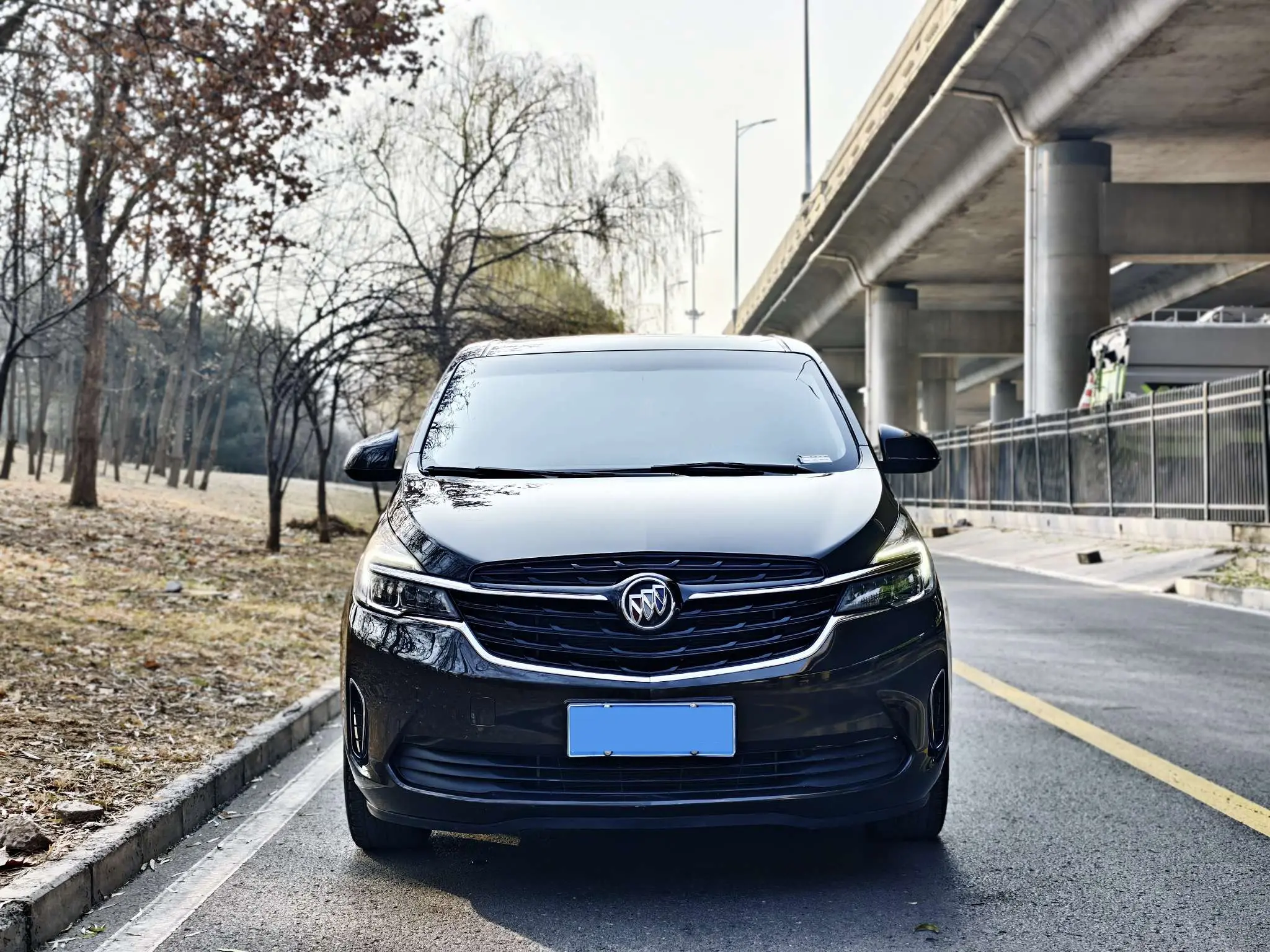 Buick GL8  из Китая