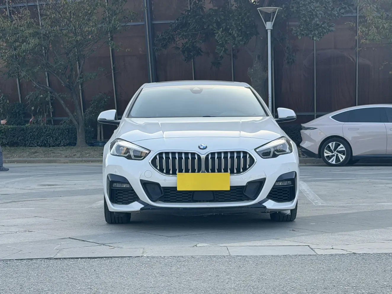 BMW 2 Series  из Китая