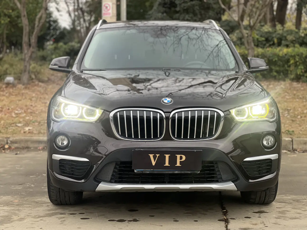 BMW X1  из Китая