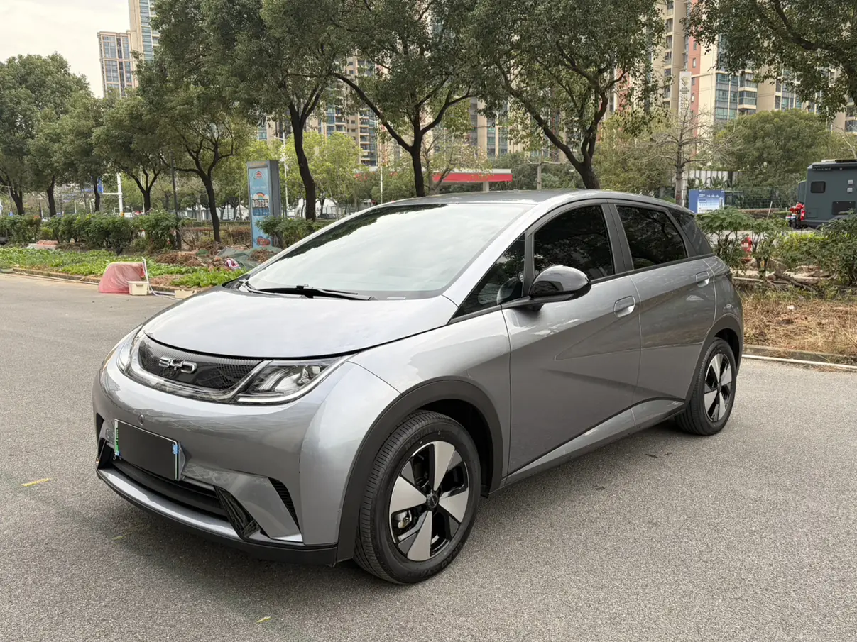 BYD Dolphin  из Китая