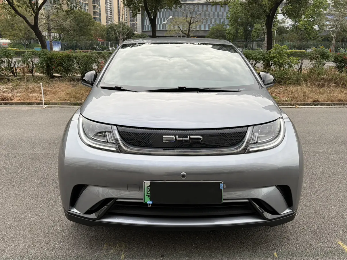 BYD Dolphin  из Китая
