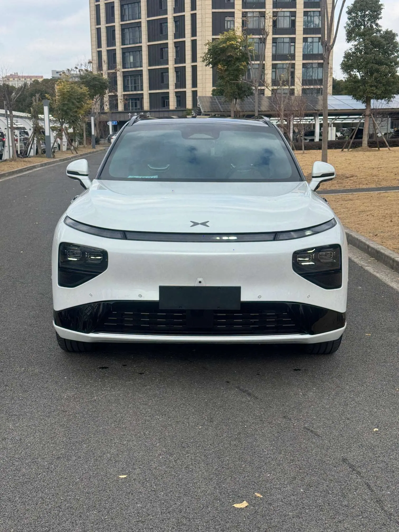 Xpeng G9  из Китая