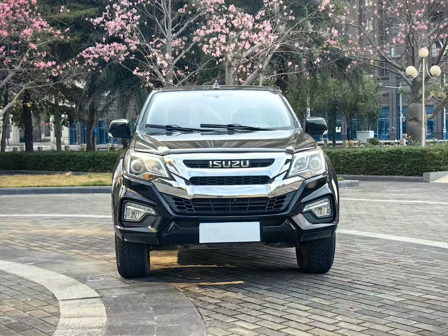 Isuzu RE-MAX  из Китая