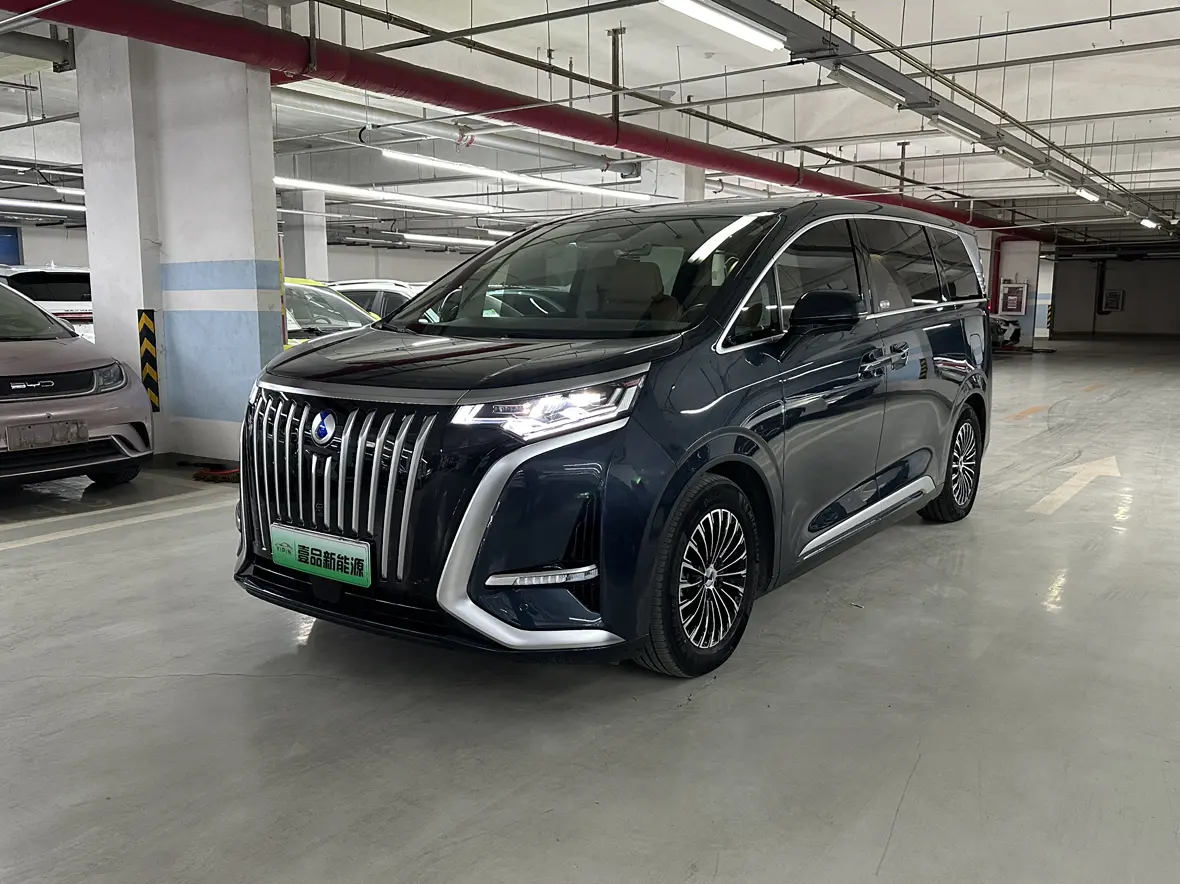 Denza D9 EV  из Китая