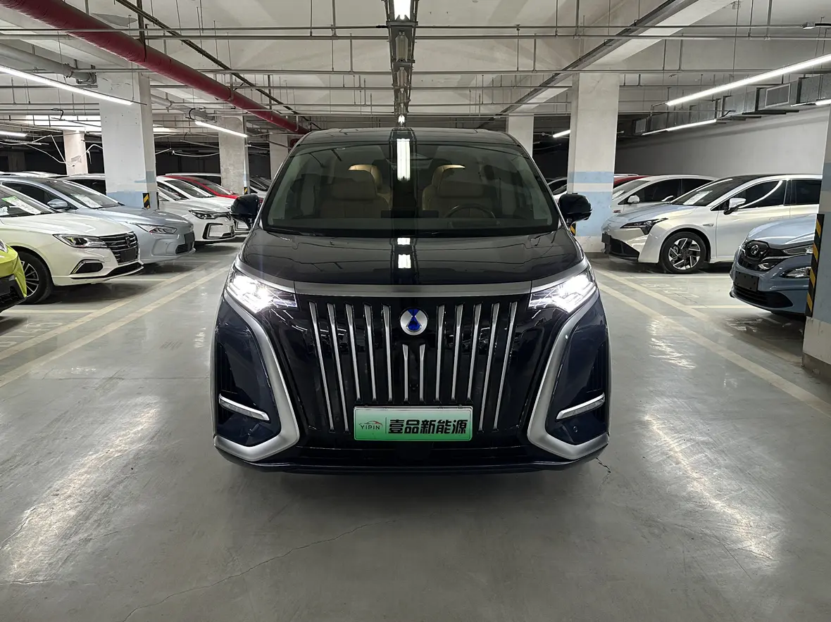 Denza D9 EV  из Китая