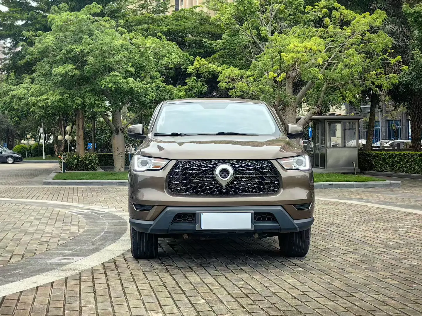 Great Wall Gun  из Китая