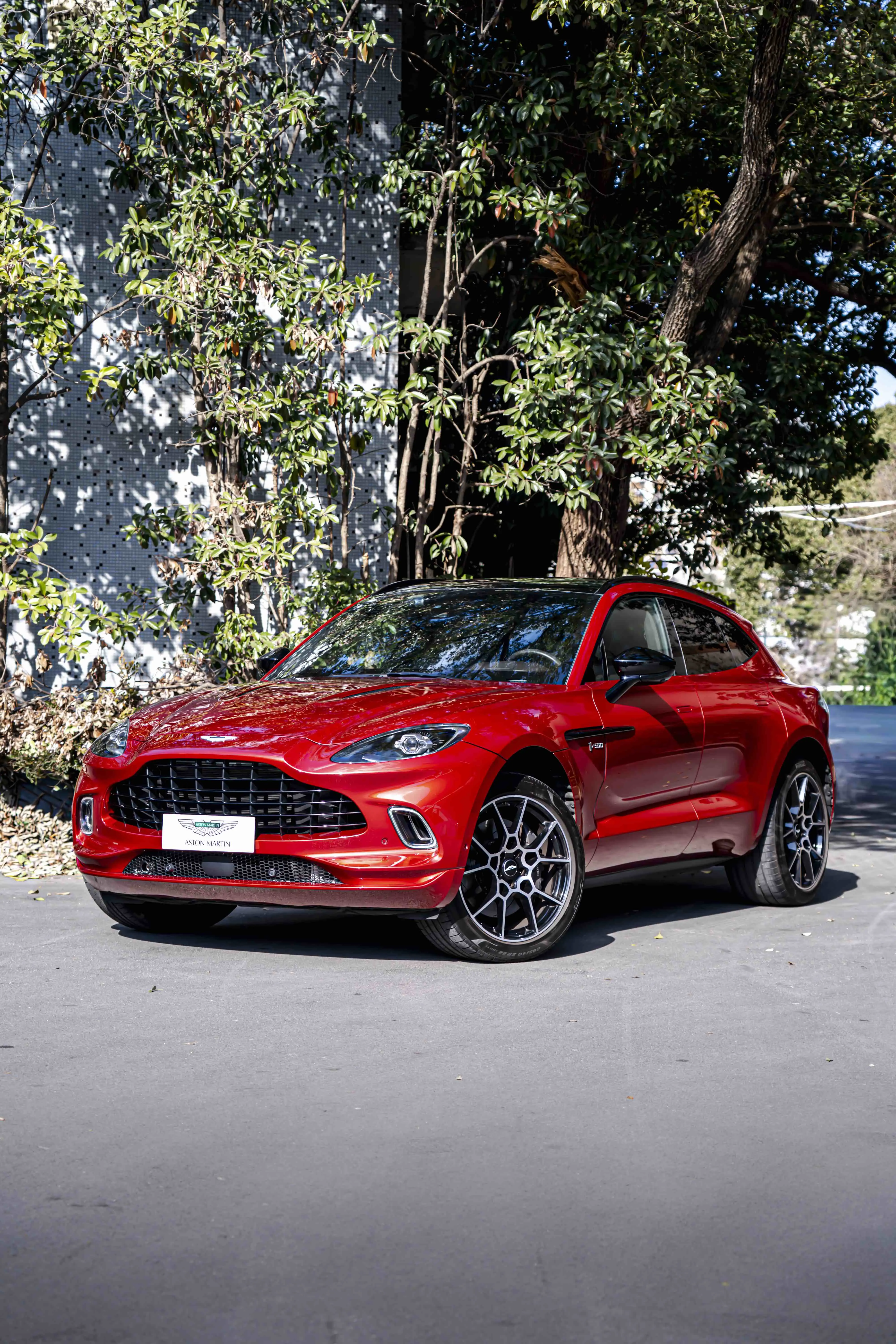 Aston Martin DBX  из Китая