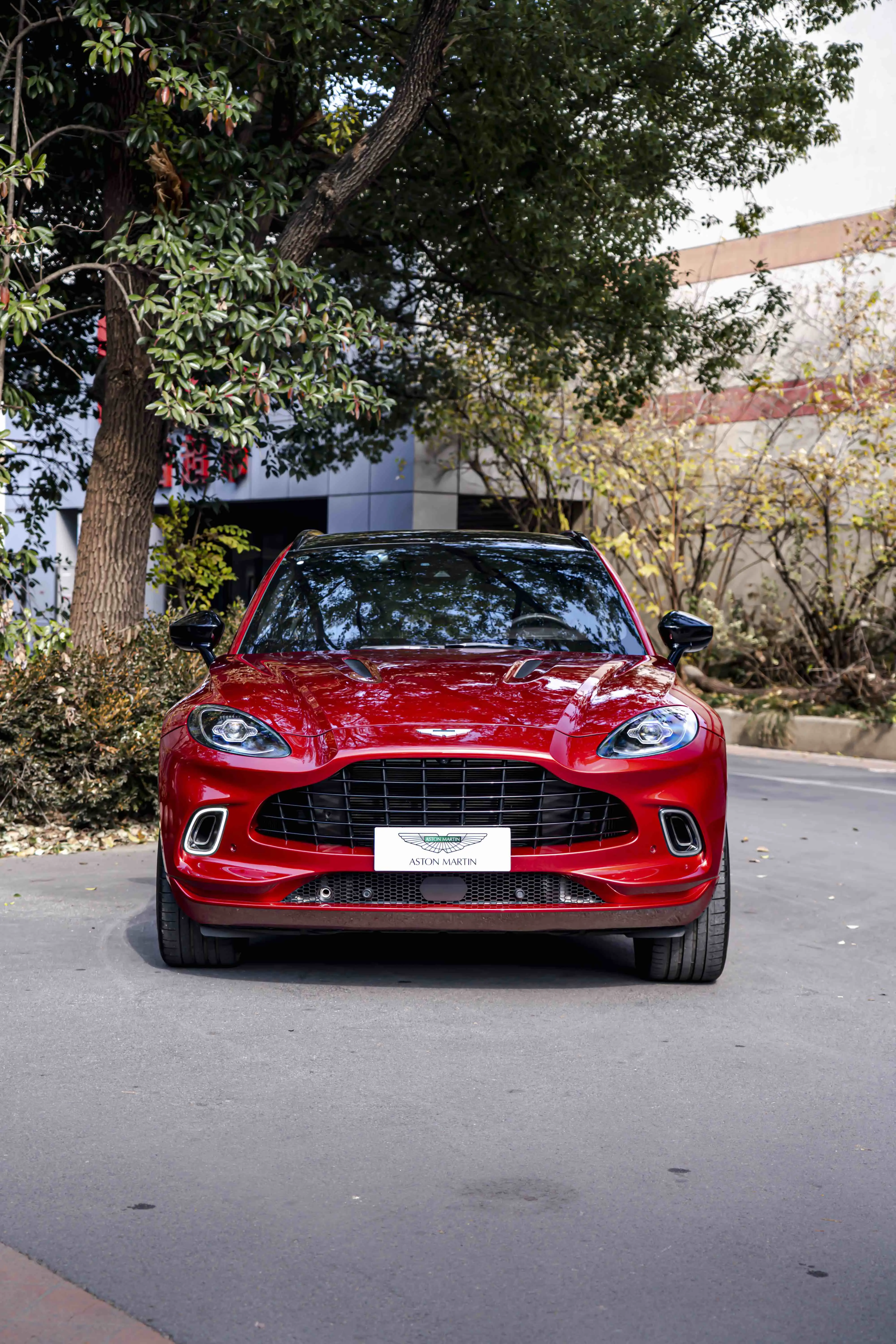 Aston Martin DBX  из Китая