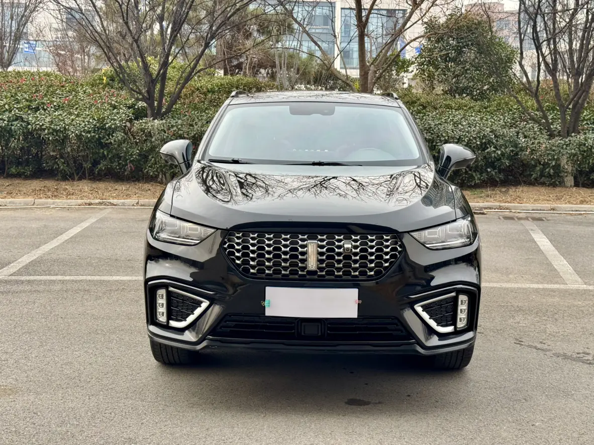 Wey Wei brand VV5  из Китая