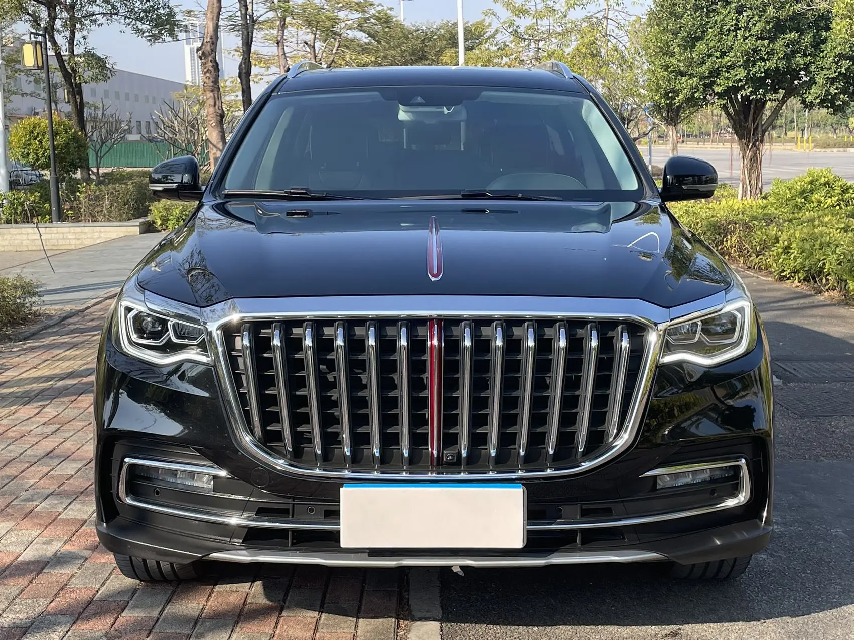 Hongqi HS7  из Китая