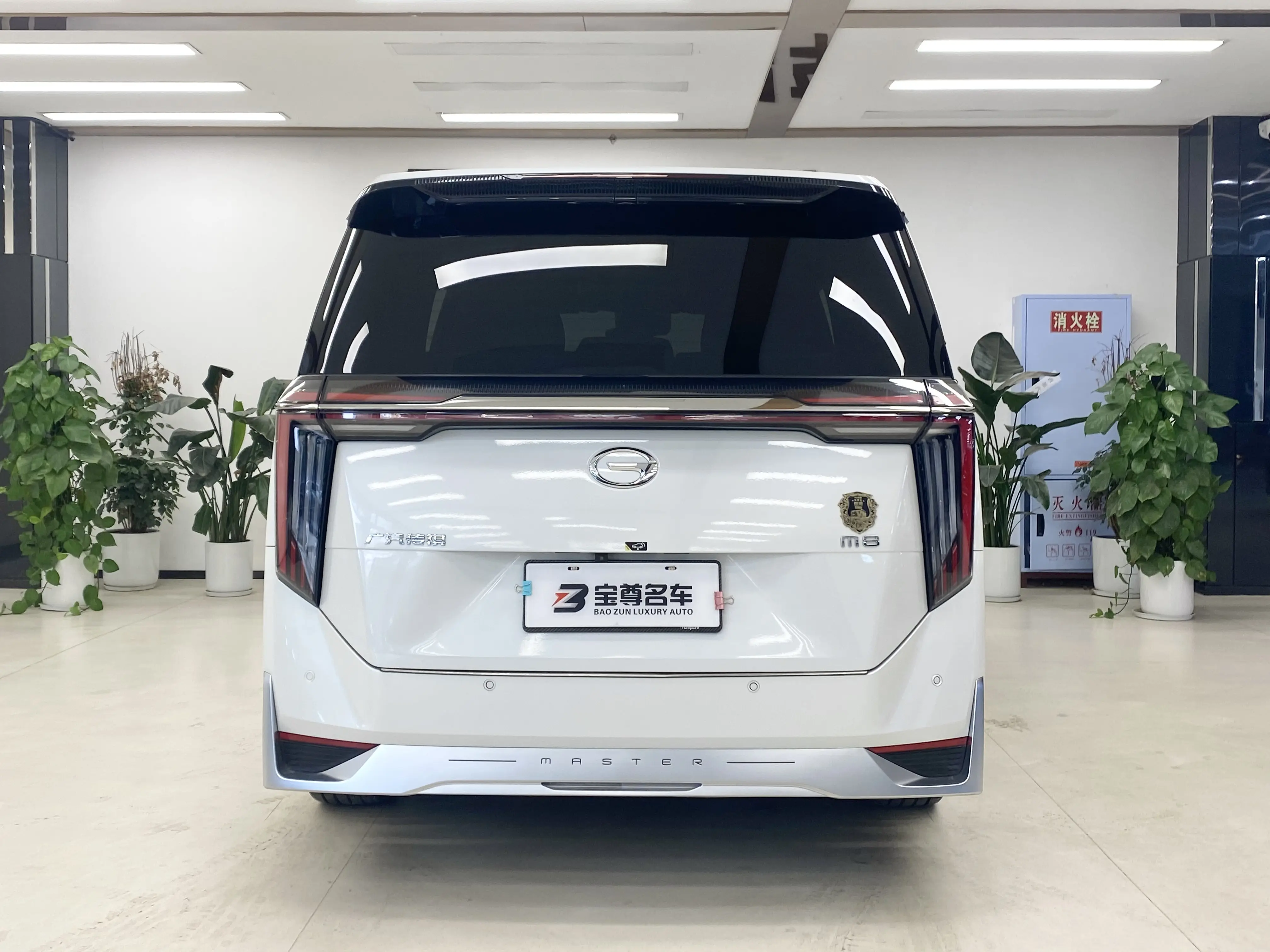 GAC Trumpchi M8  из Китая