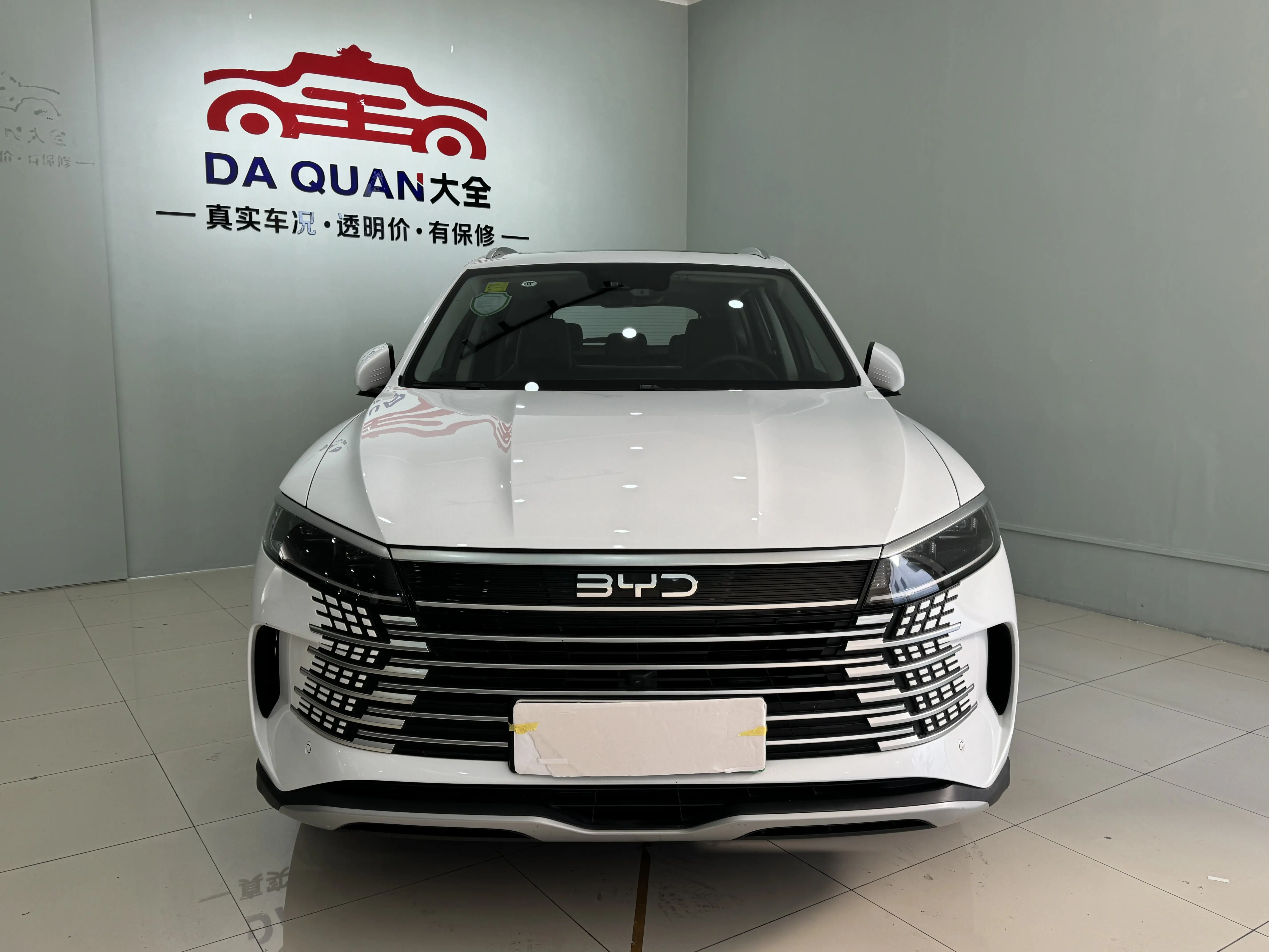 BYD Sea Lion 05DM  из Китая