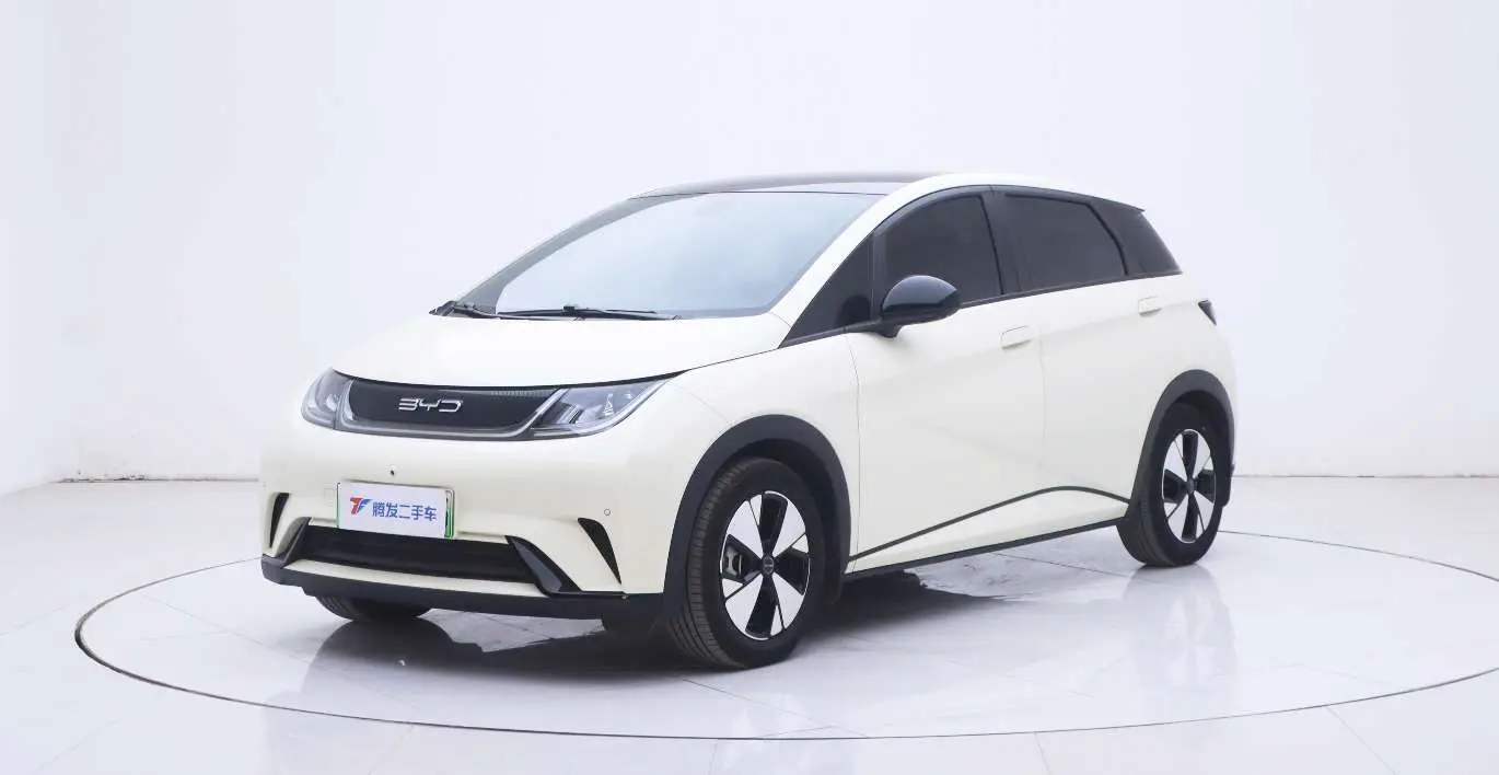 BYD Dolphin  из Китая