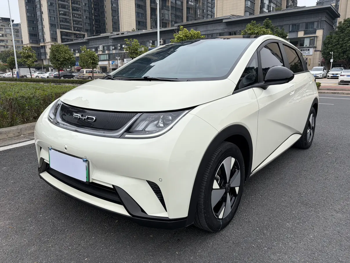BYD Dolphin  из Китая