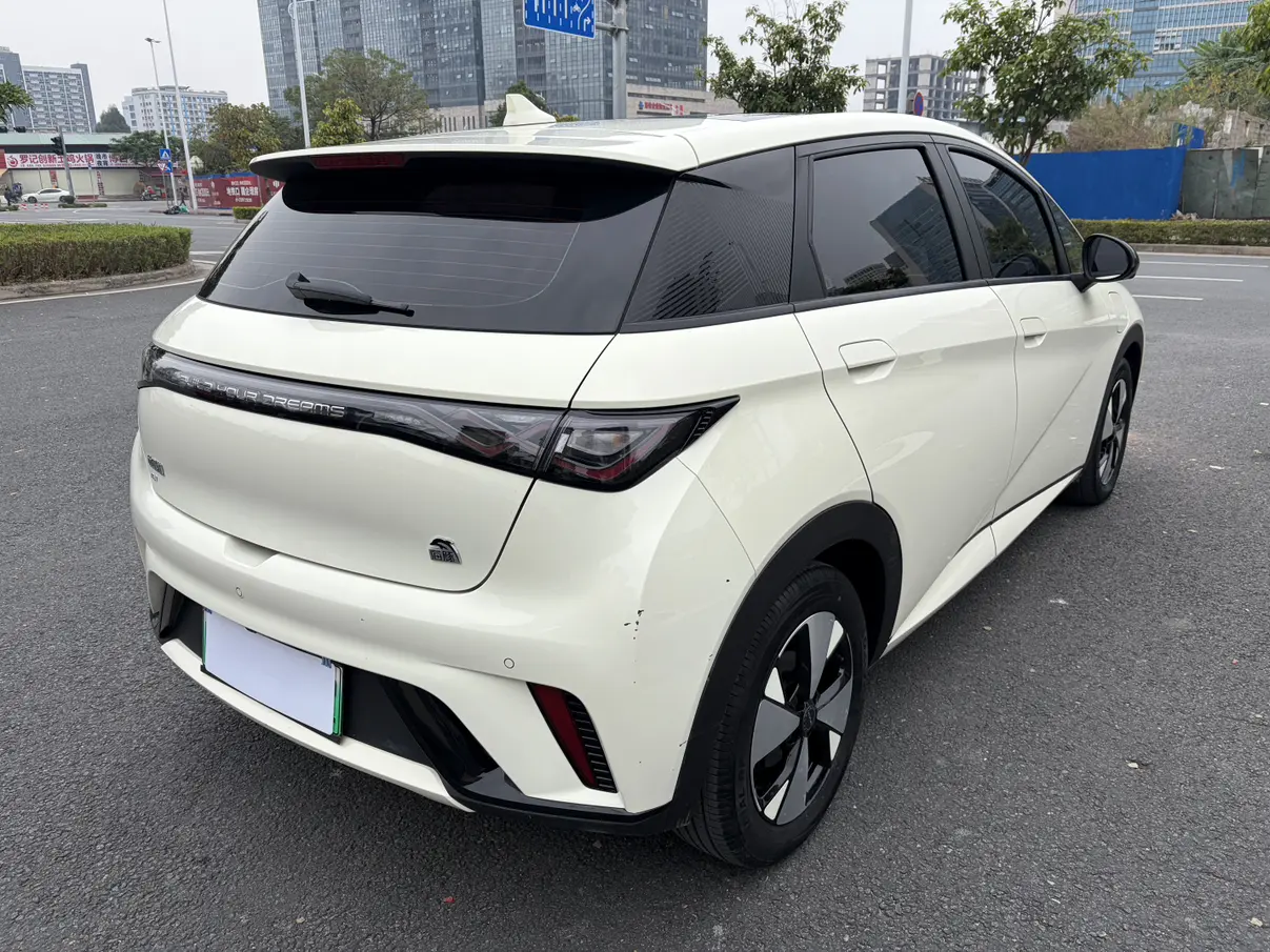 BYD Dolphin  из Китая