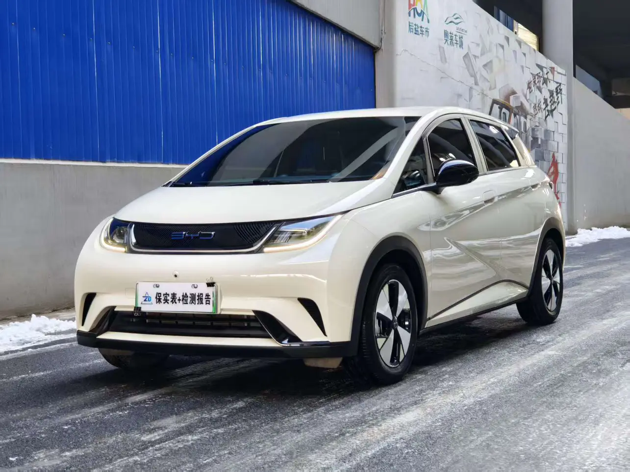 BYD Dolphin  из Китая