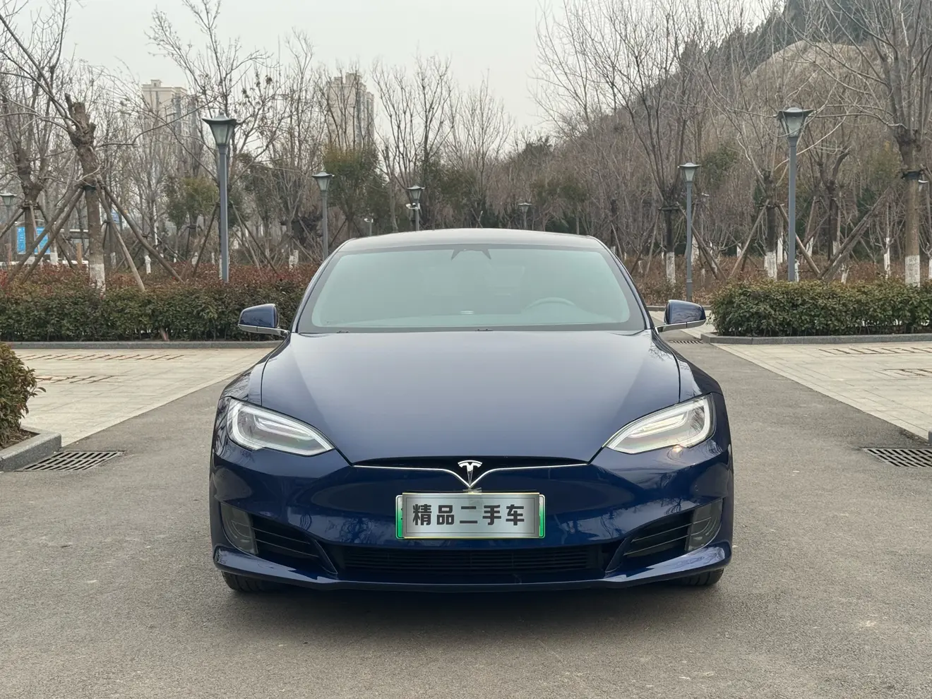 Tesla Model S  из Китая