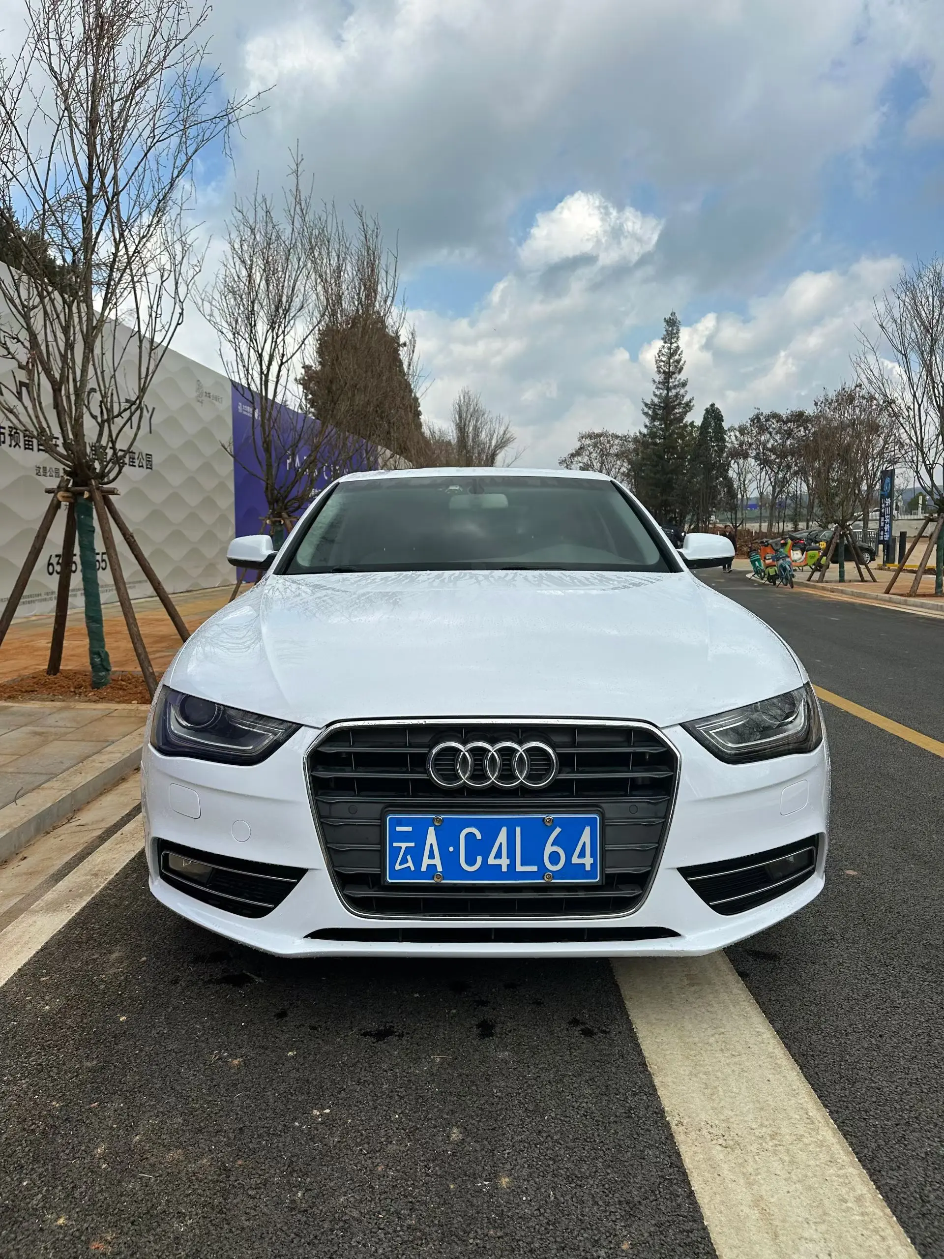 Audi A4L  из Китая