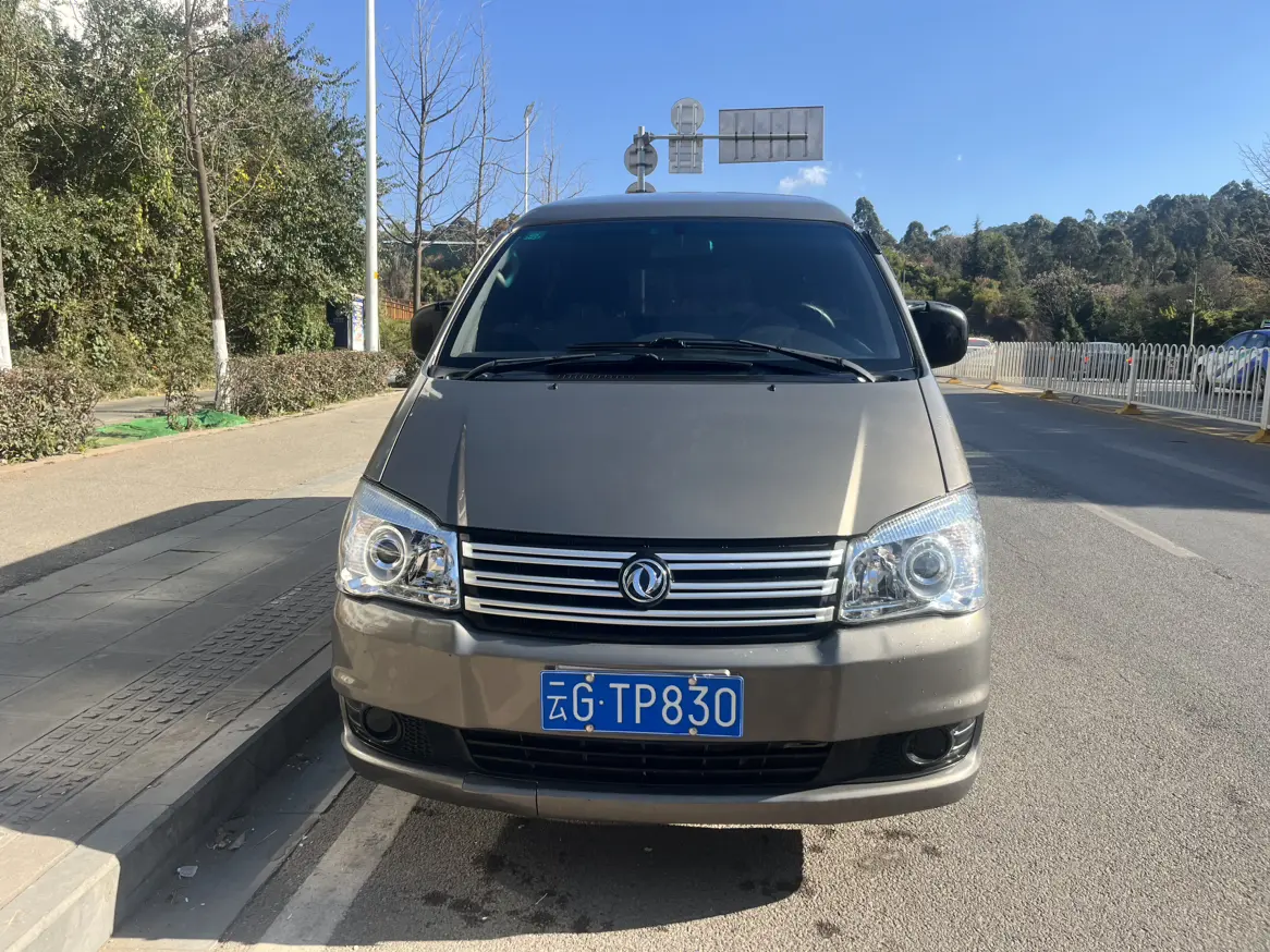 Forthing Lingzhi  из Китая