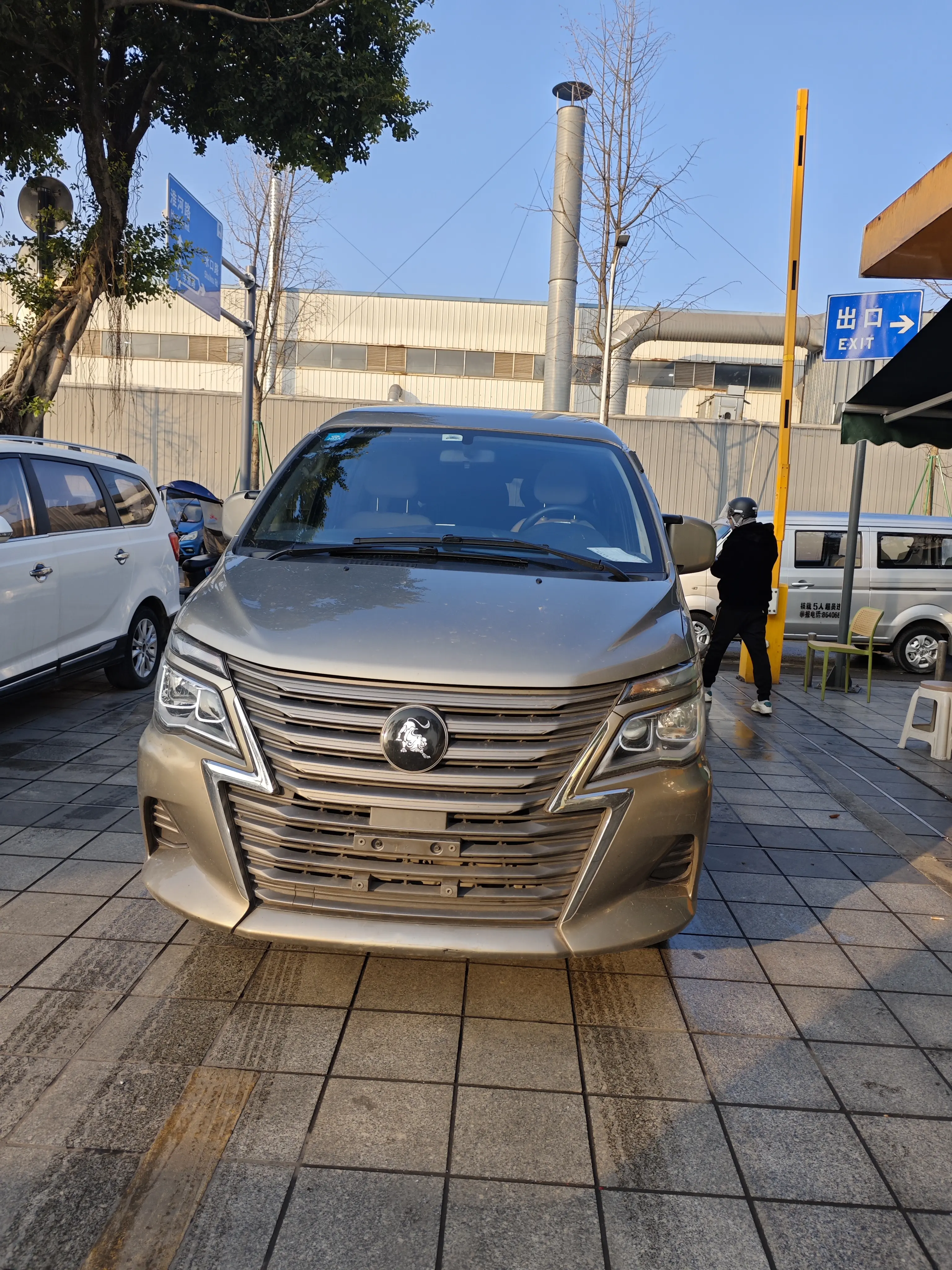 Forthing Lingzhi  из Китая