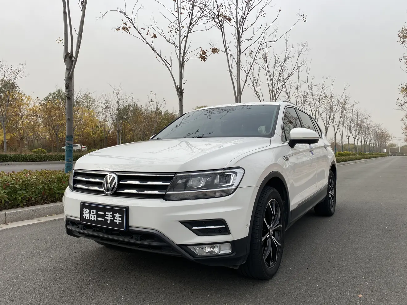 Volkswagen Tiguan L  из Китая