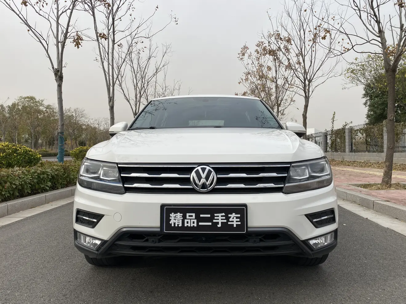 Volkswagen Tiguan L  из Китая